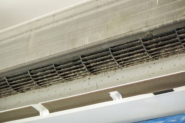 Best Emergency Air Duct Cleaning  in Shepherdstown, WV